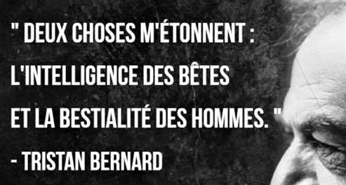 Citations connues