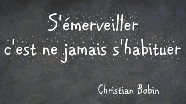 Citations de Christian Bobin Citations de Christian Bobin