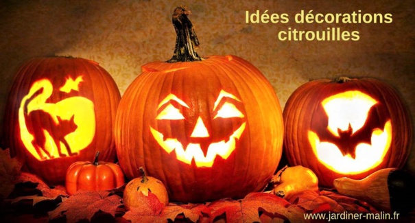 Idées décorations citrouilles Halloween