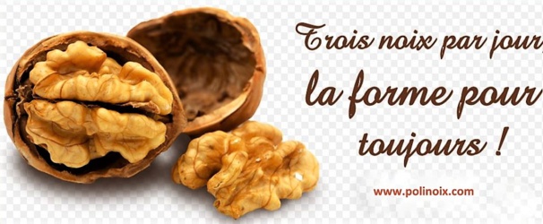 Manger des noix, c'est bon pour la santé