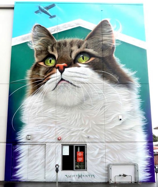 Street Art fresques peintures chats