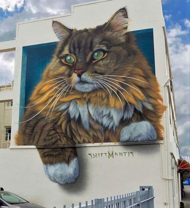 Street Art fresques peintures chats