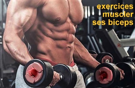 Les 3 meilleurs exercices pour les Biceps