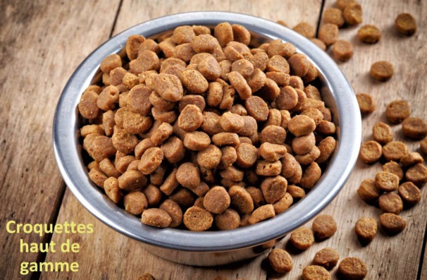 Quels sont les bénéfices de l'alimentation sans céréales pour les animaux domestiques Quels sont les bénéfices de l'alimentation sans céréales pour les animaux domestiques