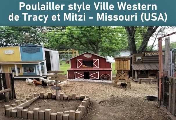 Un poulailler avec une déco du Far West américain