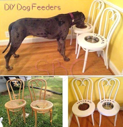 Faire une mangeoire pour grand chien Faire une mangeoire pour grand chien