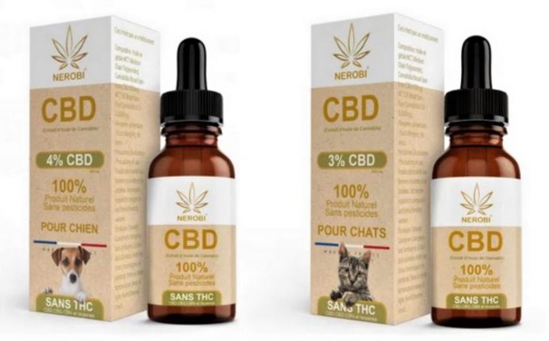 Le CBD et les animaux domestiques : quel intérêt à l'utiliser