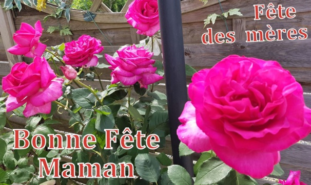 Fête des mères et citations Fête des mères et citations