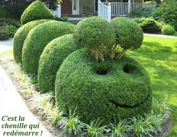 Haies végétales insolites et originales Haies végétales insolites et originales