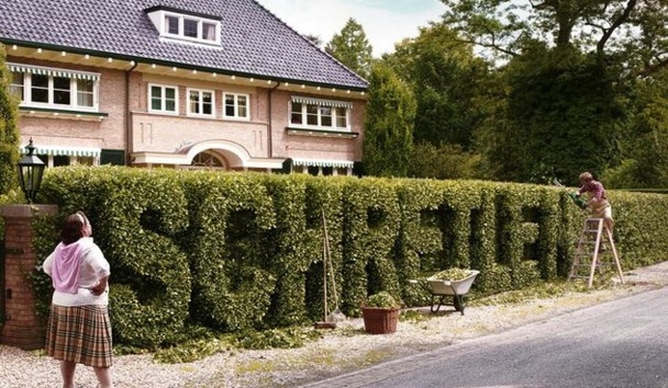 Haies végétales insolites et originales Haies végétales insolites et originales