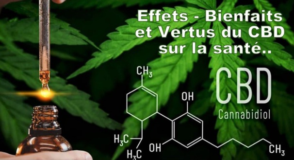 Quels sont les bienfaits réels du CBD Quels sont les bienfaits réels du CBD