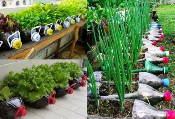 Astuces pratiques pour jardin et piscine Astuces pratiques pour jardin et piscine