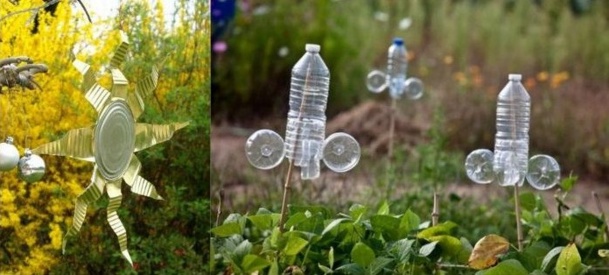 Astuces pour protéger fruits et plantations des attaques des oiseaux.
