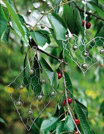 Astuces pour protéger fruits et plantations des attaques des oiseaux. Astuces pour protéger fruits et plantations des attaques des oiseaux.