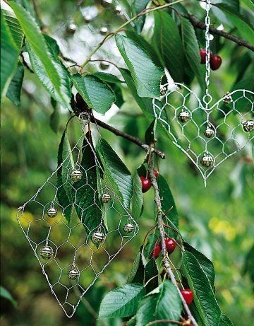 Astuces pour protéger fruits et plantations des attaques des oiseaux.