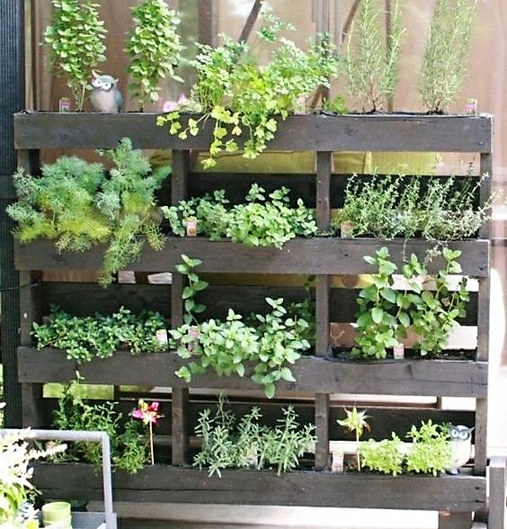 Recycler une palette en jardinière pour le jardin