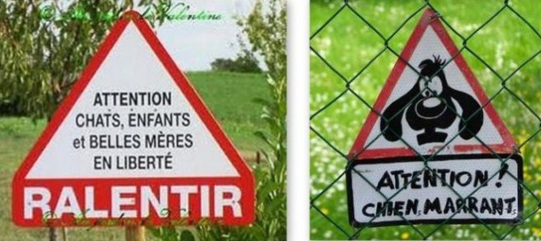 Pancartes chiens drôles et amusantes