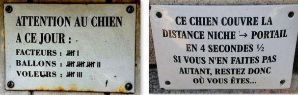 Pancartes chiens drôles et amusantes