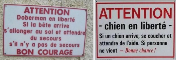 Pancartes chiens drôles et amusantes