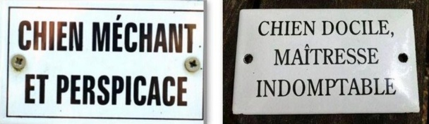 Pancartes chiens drôles et amusantes Pancartes chiens drôles et amusantes