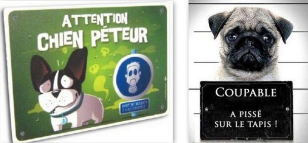 Pancartes chiens drôles et amusantes Pancartes chiens drôles et amusantes