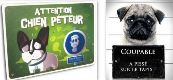 Pancartes chiens drôles et amusantes