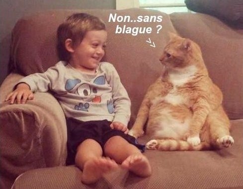 9 photos drôles et amusantes animaux