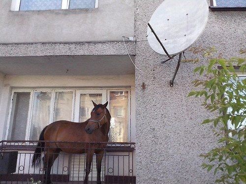9 Photos insolites et vraies 9 Photos insolites et vraies