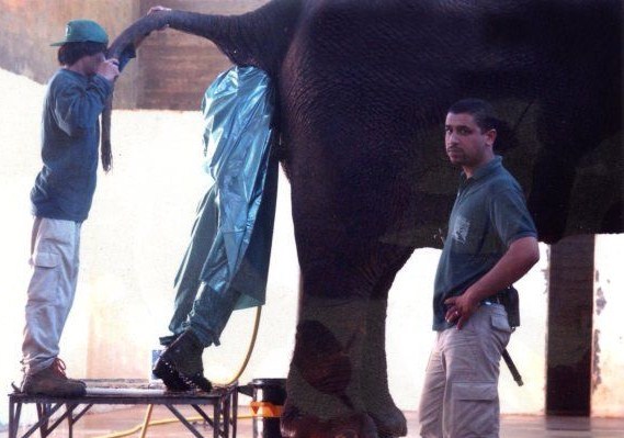 9 Photos insolites et vraies 9 Photos insolites et vraies