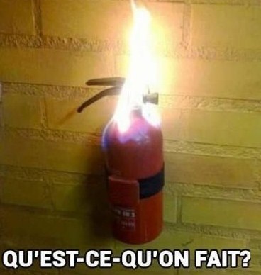9 Photos insolites et vraies 9 Photos insolites et vraies