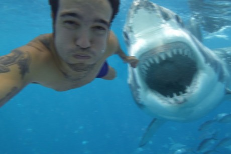 9 Photos insolites et vraies 9 Photos insolites et vraies