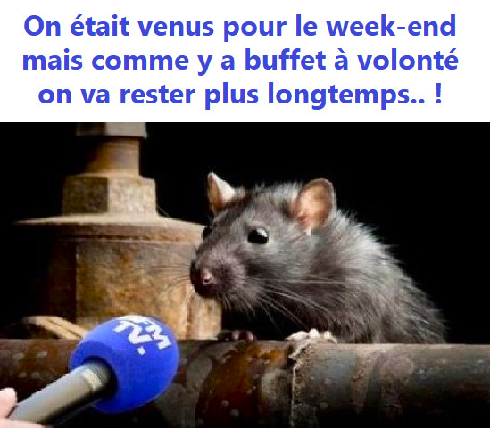 Humour : dessins et citations humoristiques Humour : dessins et citations humoristiques