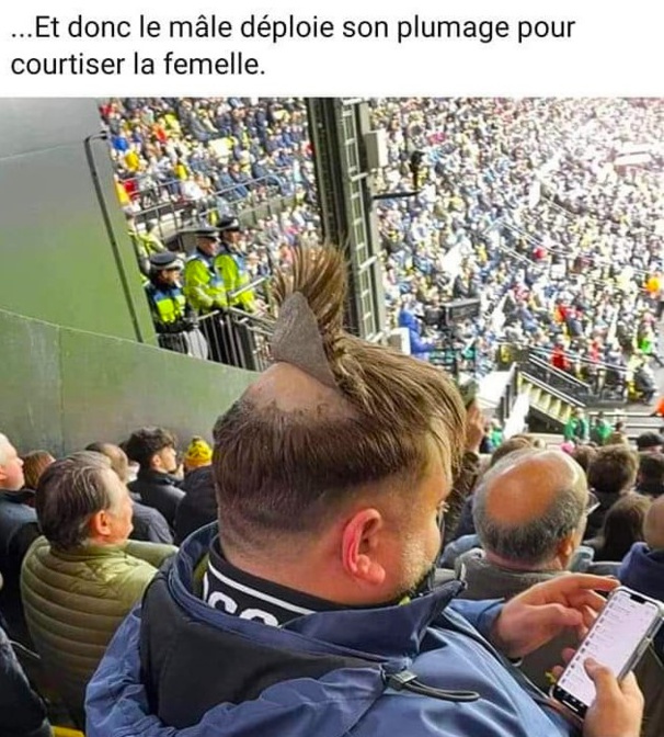 Humour : dessins et citations humoristiques Humour : dessins et citations humoristiques