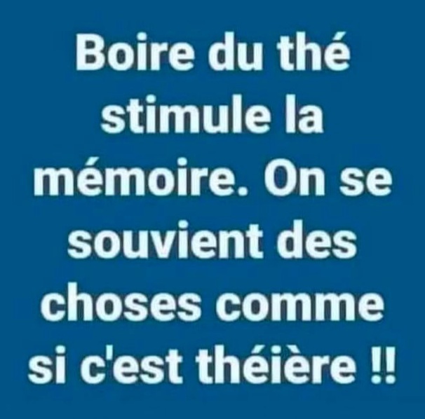 Humour : dessins et citations humoristiques