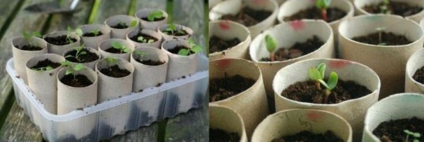 Des idées pour recycler vos rouleaux de papier toilette Des idées pour recycler vos rouleaux de papier toilette