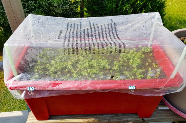 Idées, astuces et instants Jardin Idées, astuces et instants Jardin