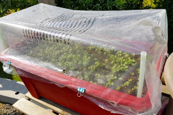 Idées, astuces et instants Jardin Idées, astuces et instants Jardin