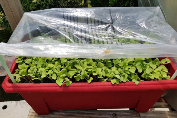 Idées, astuces et instants Jardin Idées, astuces et instants Jardin