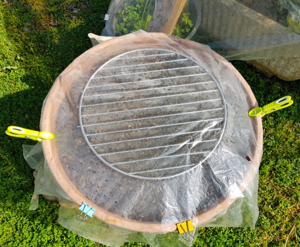 Idées, astuces et instants Jardin Idées, astuces et instants Jardin