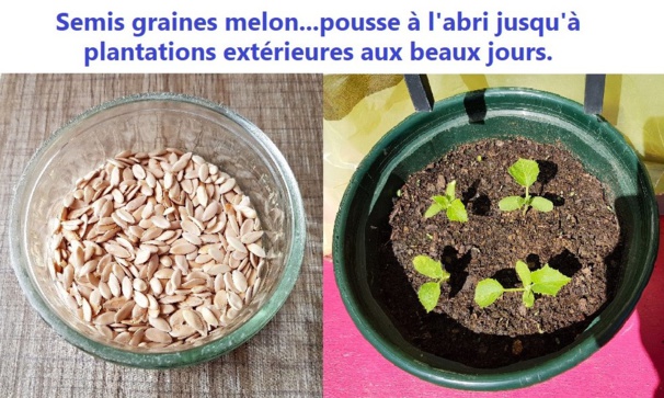 Idées, astuces et instants Jardin