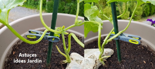 Idées, astuces et instants Jardin Idées, astuces et instants Jardin