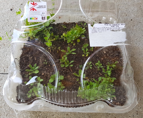 Idées, astuces et instants Jardin Idées, astuces et instants Jardin