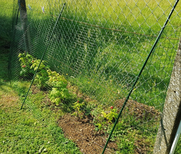 Idées, astuces et instants Jardin Idées, astuces et instants Jardin