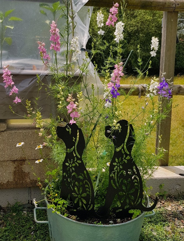 Idées, astuces et instants Jardin Idées, astuces et instants Jardin