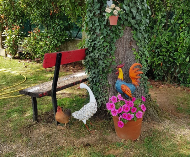 Idées, astuces et instants Jardin Idées, astuces et instants Jardin