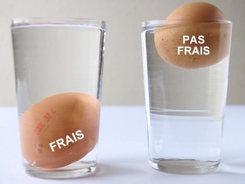 Conservation des oeufs, conseils pratiques Conservation des oeufs, conseils pratiques