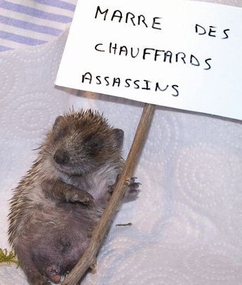 se bat courageusement devant la perte des siens.. se bat courageusement devant la perte des siens..