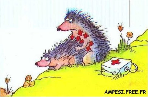 et en plus, galère grave pour réussir à s'accoupler.. et en plus, galère grave pour réussir à s'accoupler..