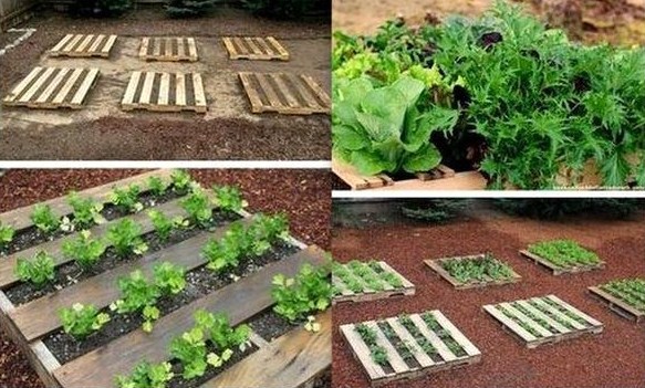 Faire un potager avec de la récup