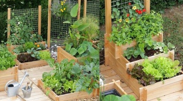 Faire un potager avec de la récup